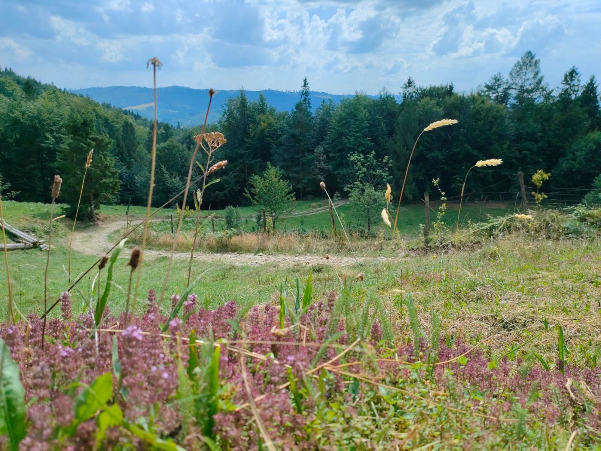 Dom Na Gorce - Apartamenty W Beskidach Gorki Wielkie Luaran gambar